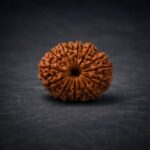 13 Mukhi Rudraksha