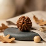 6 Mukhi Rudraksha