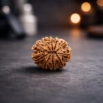 10 Mukhi Rudraksha